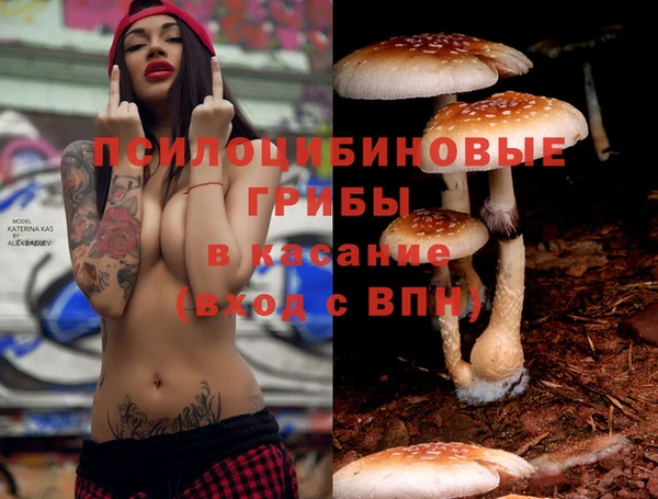 амф Вяземский