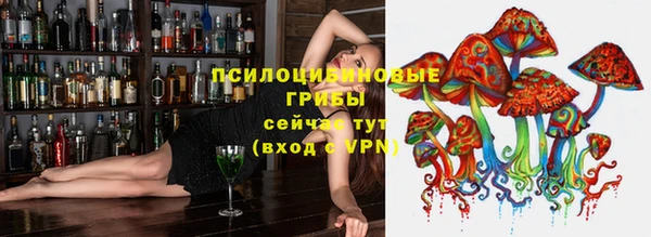 амф Вяземский