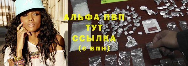 амф Вяземский