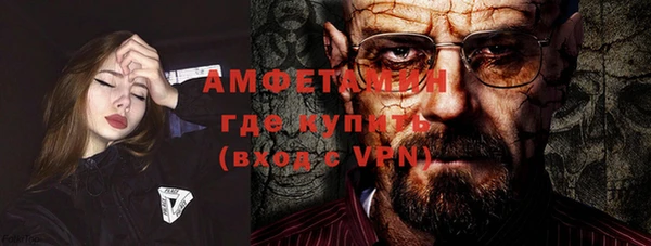 амф Вяземский