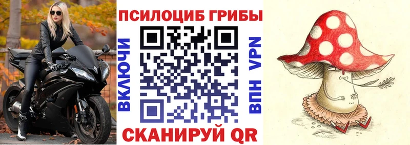 Купить Усть-Катав Галлюциногенные грибы мицелий