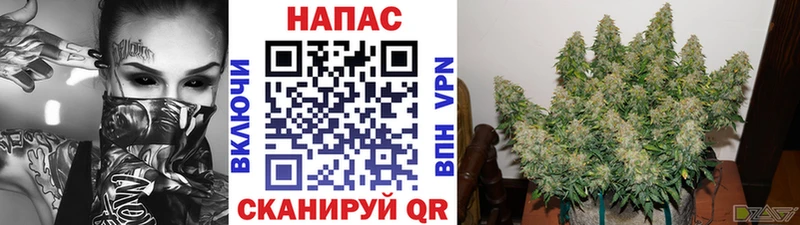 Купить закладки  Усть-Катав  Бошки Шишки AK-47 
